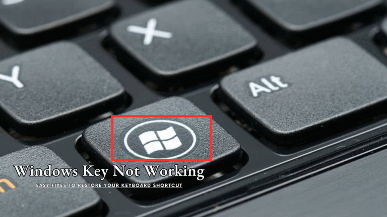 Windows Key Not Working